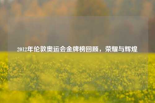 2012年伦敦奥运会金牌榜回顾，荣耀与辉煌