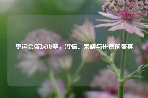 奥运会篮球决赛，激情、荣耀与拼搏的盛宴