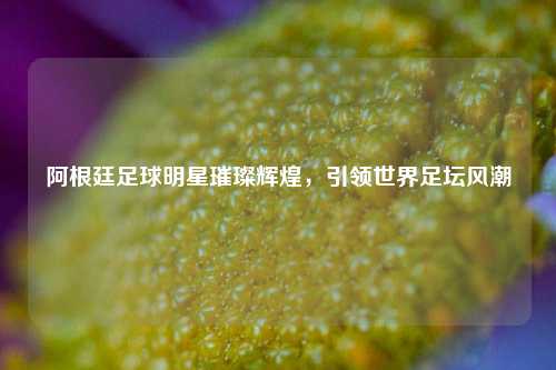 阿根廷足球明星璀璨辉煌，引领世界足坛风潮