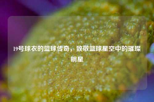 19号球衣的篮球传奇，致敬篮球星空中的璀璨明星