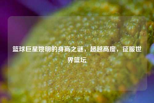 篮球巨星姚明的身高之谜，超越高度，征服世界篮坛