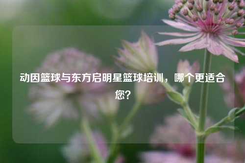 动因篮球与东方启明星篮球培训，哪个更适合您？