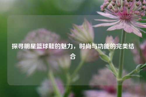 探寻明星篮球鞋的魅力，时尚与功能的完美结合