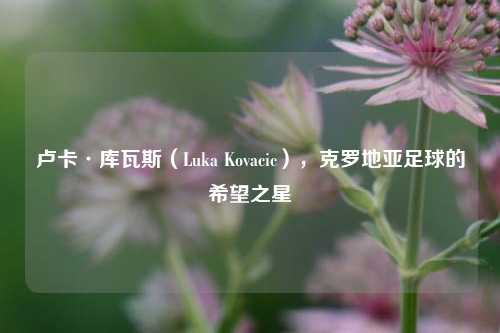 卢卡·库瓦斯（Luka Kovacic），克罗地亚足球的希望之星