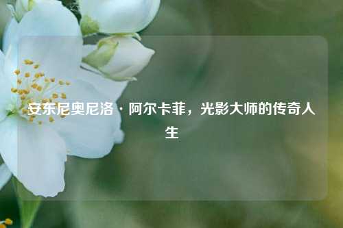 安东尼奥尼洛·阿尔卡菲，光影大师的传奇人生