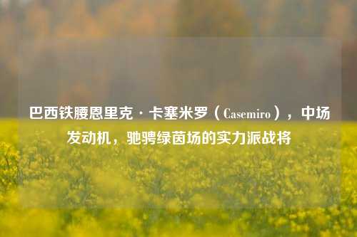 巴西铁腰恩里克·卡塞米罗（Casemiro），中场发动机，驰骋绿茵场的实力派战将