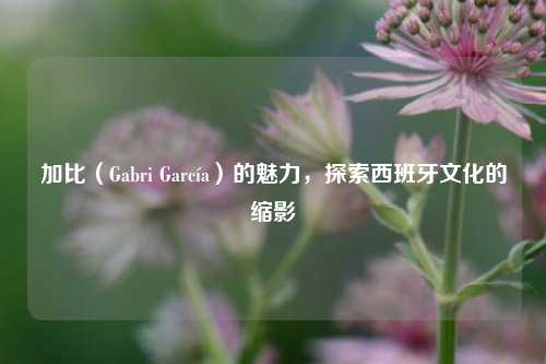 加比（Gabri García）的魅力，探索西班牙文化的缩影