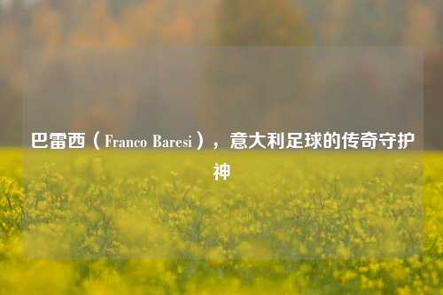 巴雷西（Franco Baresi），意大利足球的传奇守护神