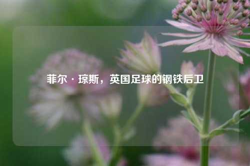 菲尔·琼斯，英国足球的钢铁后卫